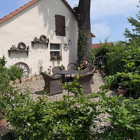 Hof Sandfort Apartmán Bad Laer