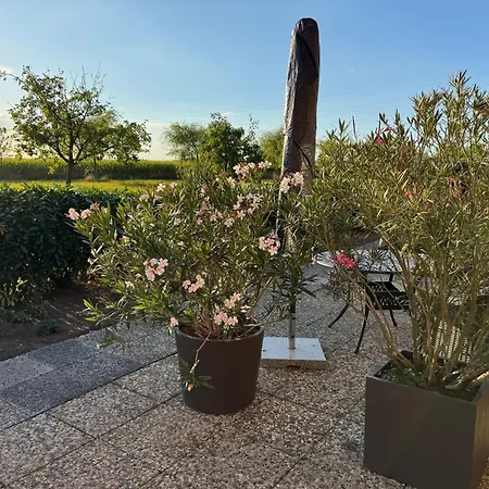 公寓 Hof Sandfort 巴特拉尔